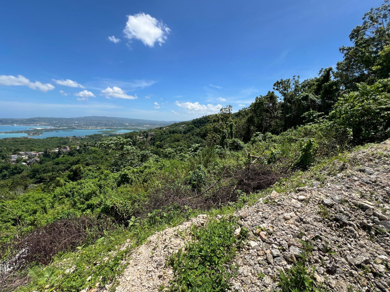 Twenty-First image of Lot 5 Clarridge Hall in Spring Garden, St. James, Jamaica - property is For Sale