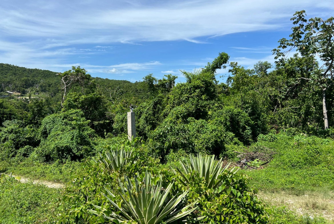 Eleventh image of Lot 11 Clarridge Hall in Spring Garden, St. James, Jamaica - property is For Sale