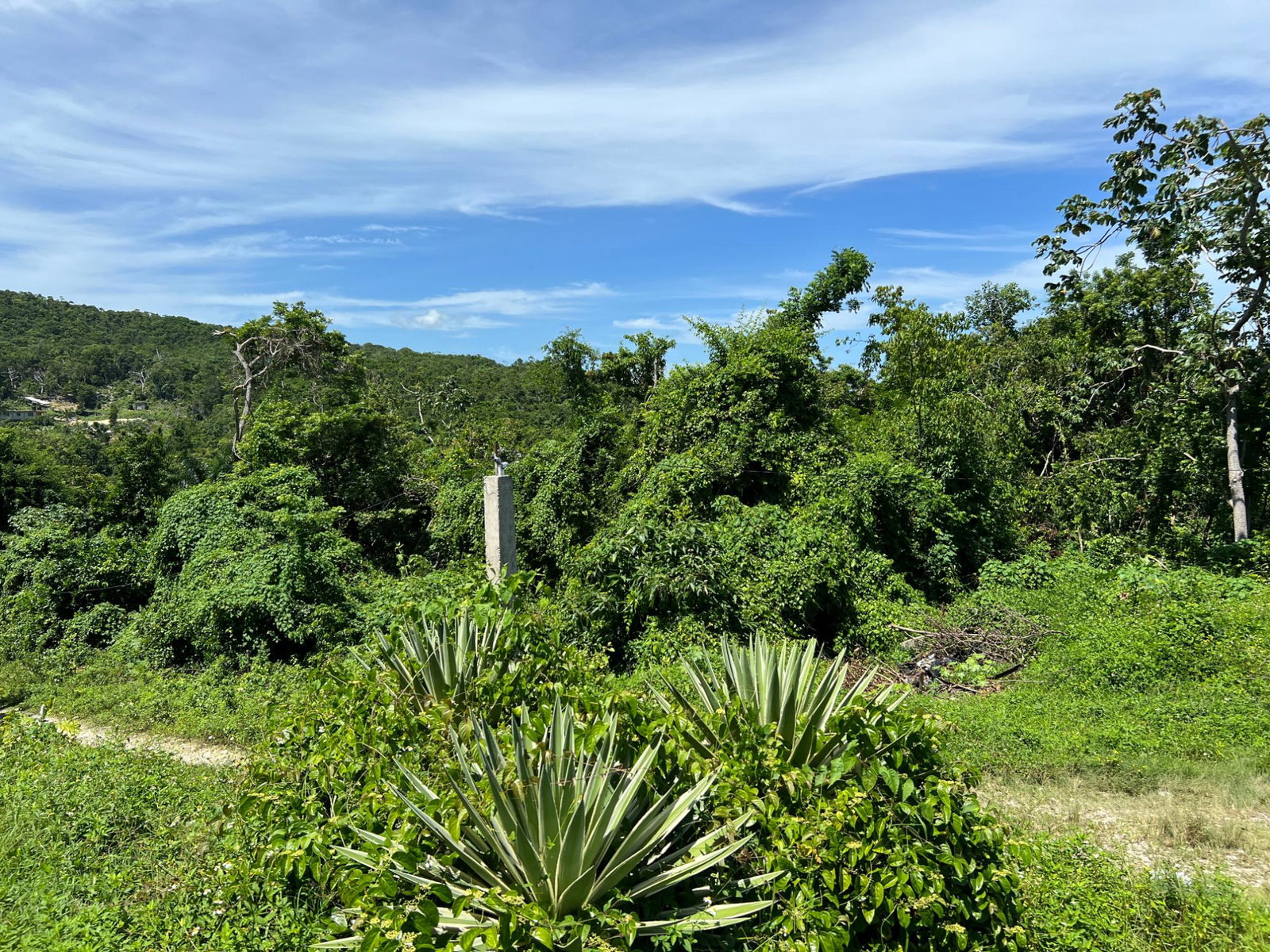 Build-Your-Dream-Home-in-Clarridge-Hall-St.-James-Lot-for-Sale Eleventh image of Lot 11 Clarridge Hall in Spring Garden, St. James, Jamaica - property is For Sale