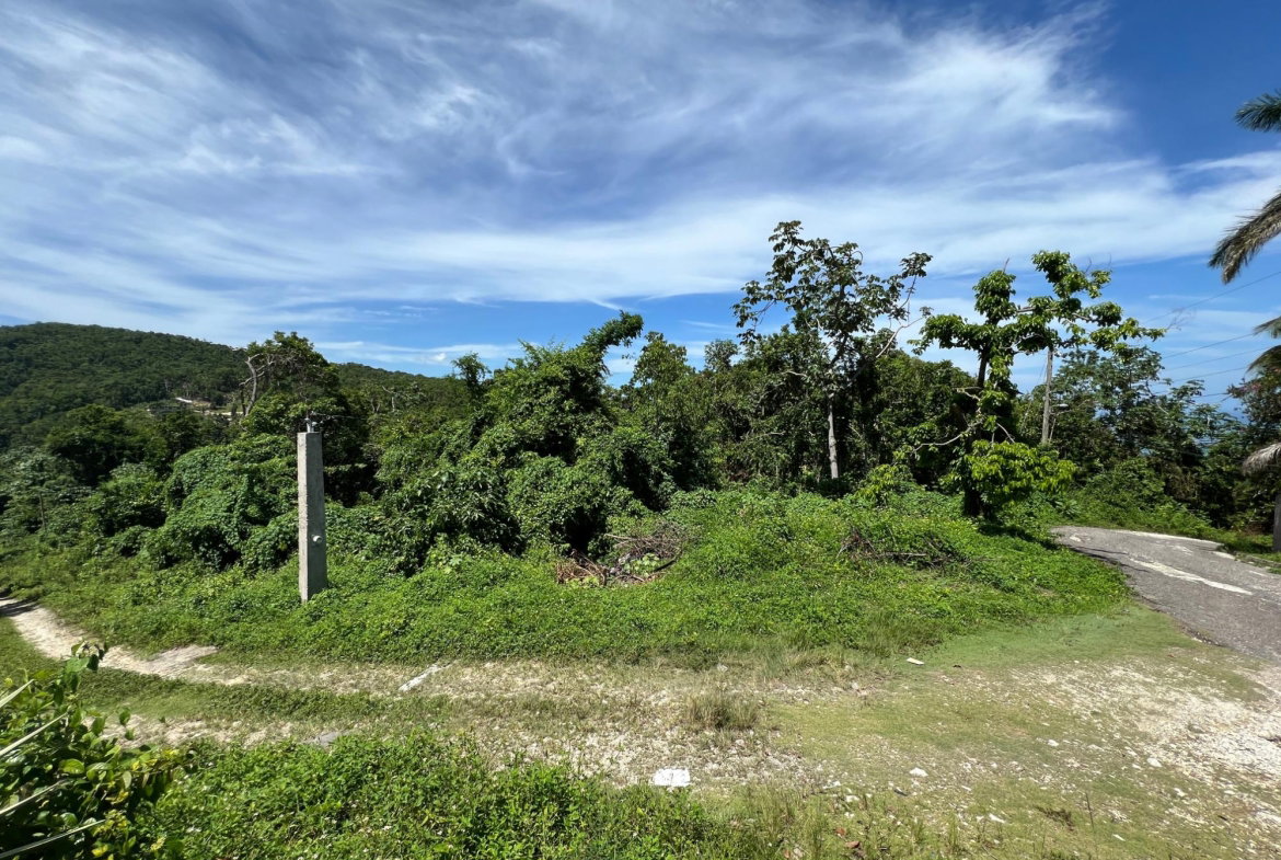 Twelfth image of Lot 11 Clarridge Hall in Spring Garden, St. James, Jamaica - property is For Sale