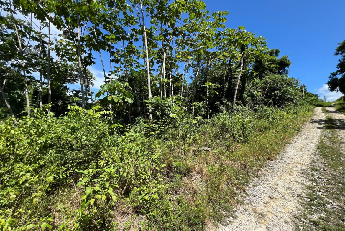 Thirteenth image of Lot 11 Clarridge Hall in Spring Garden, St. James, Jamaica - property is For Sale