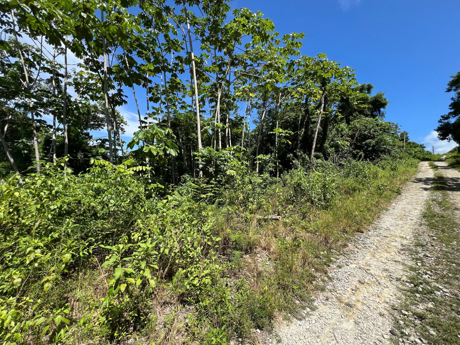 Build-Your-Dream-Home-in-Clarridge-Hall-St.-James-Lot-for-Sale Thirteenth image of Lot 11 Clarridge Hall in Spring Garden, St. James, Jamaica - property is For Sale