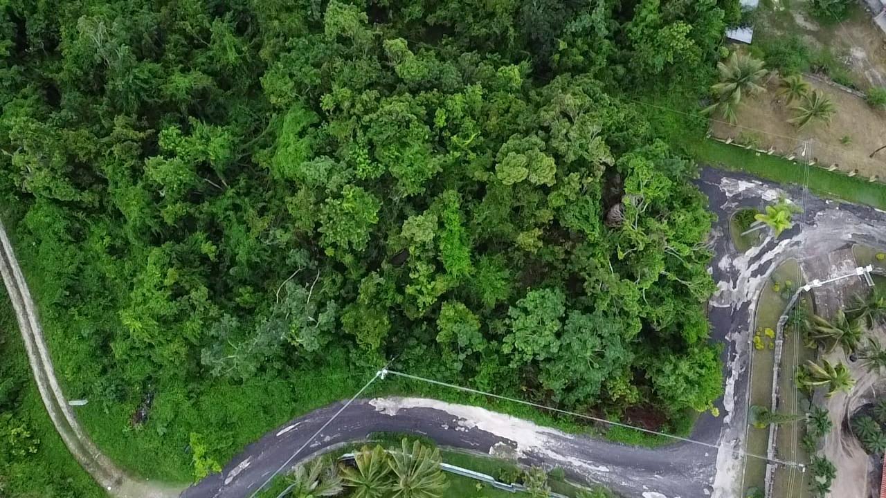 Build-Your-Dream-Home-in-Clarridge-Hall-St.-James-Lot-for-Sale Nineteenth image of Lot 11 Clarridge Hall in Spring Garden, St. James, Jamaica - property is For Sale