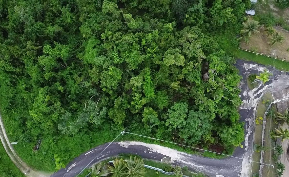 Ninth image of Lot 11 Clarridge Hall in Spring Garden, St. James, Jamaica - property is For Sale