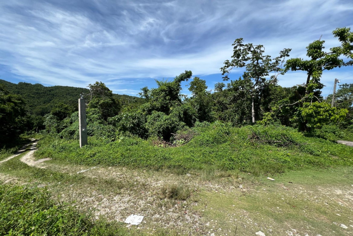 Tenth image of Lot 11 Clarridge Hall in Spring Garden, St. James, Jamaica - property is For Sale