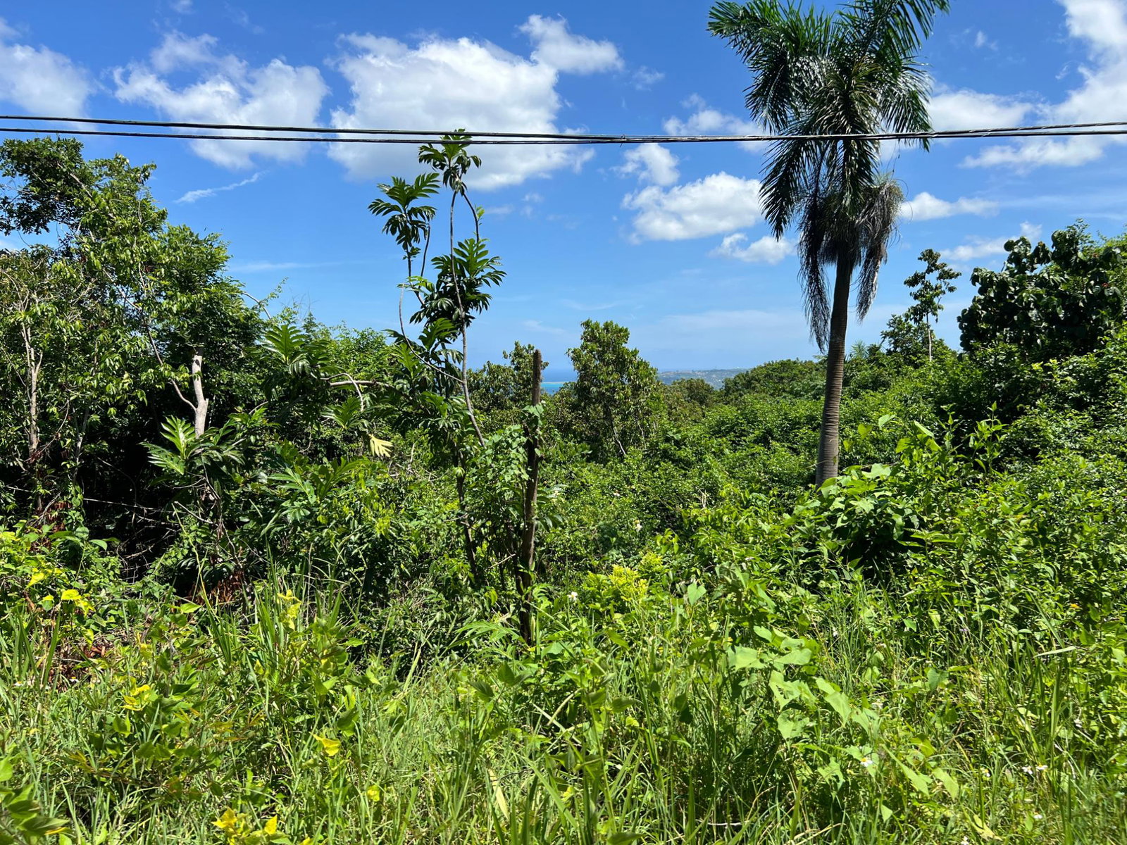 Twenty-Fourth image of Lot 20 Clarridge Hall in Spring Garden, St. James, Jamaica - property is For Sale