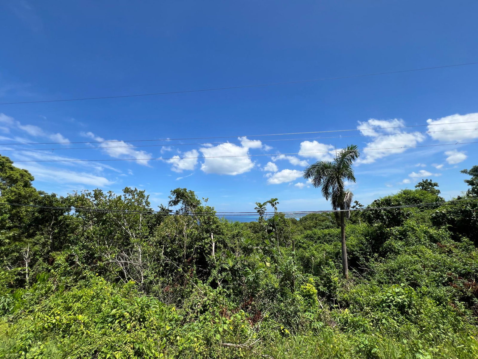 Twenty-Seventh image of Lot 20 Clarridge Hall in Spring Garden, St. James, Jamaica - property is For Sale