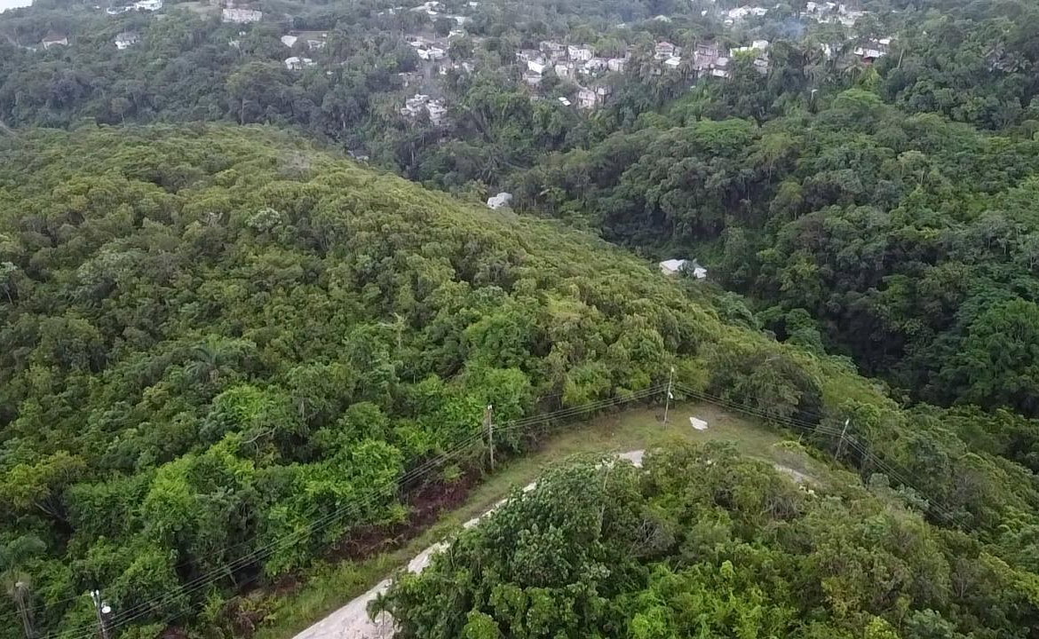 Thirtieth image of Lot 20 Clarridge Hall in Spring Garden, St. James, Jamaica - property is For Sale