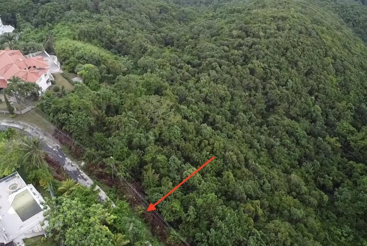 Fifth image of Lot 22 Clarridge Hall in Spring Garden, St. James, Jamaica - property is For Sale