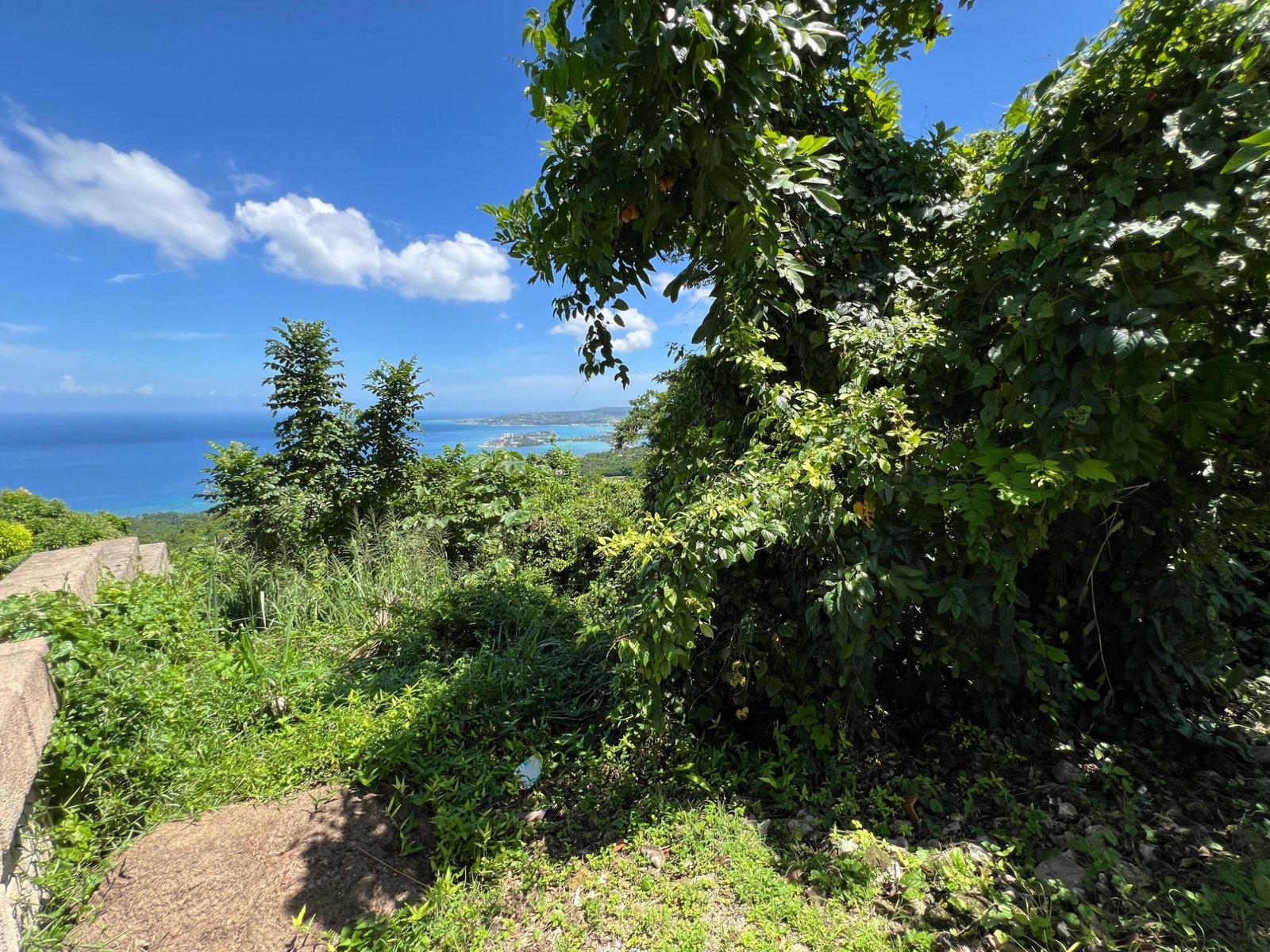 Twenty-Second image of Lot 22 Clarridge Hall in Spring Garden, St. James, Jamaica - property is For Sale