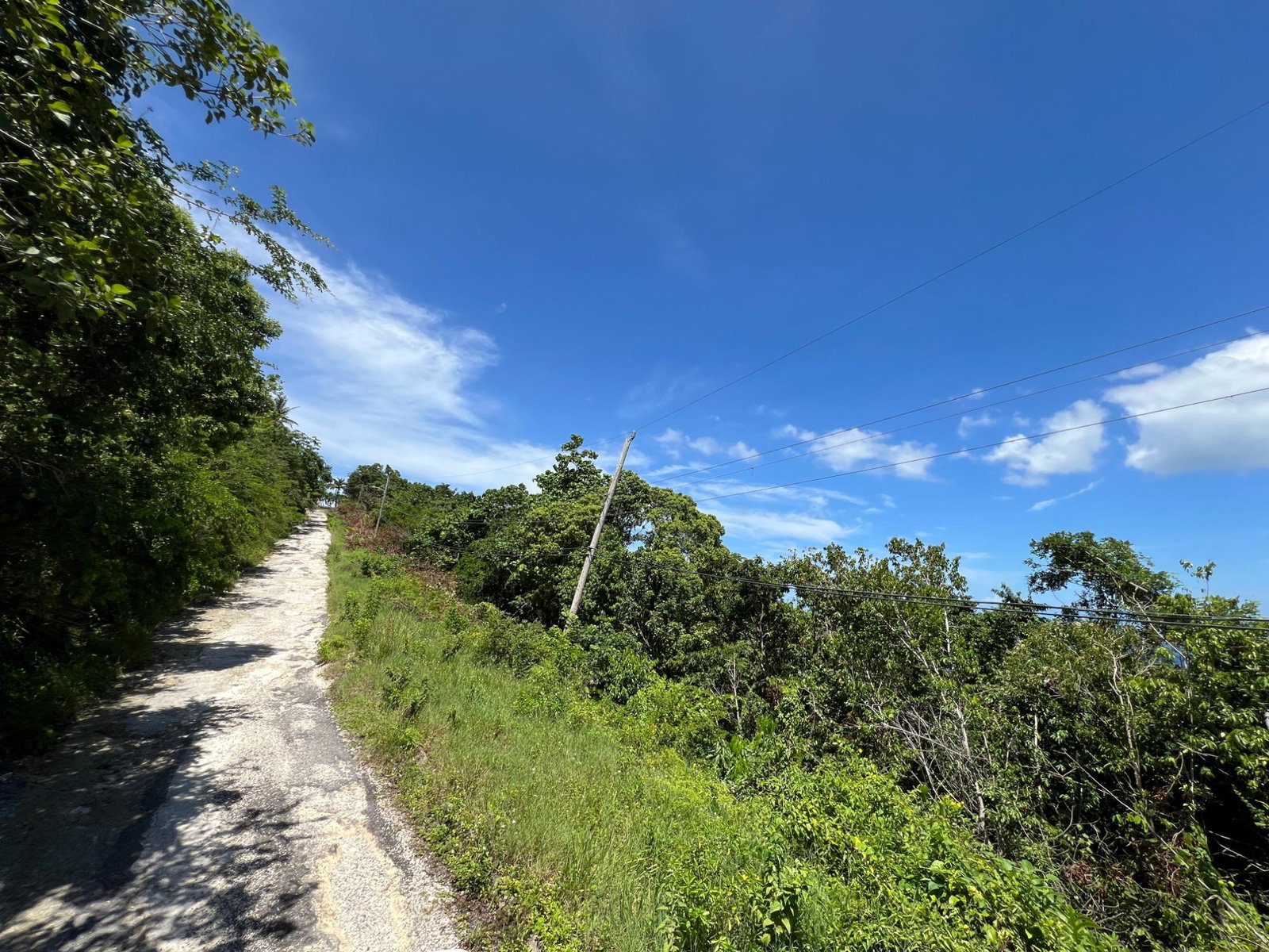 Thirtieth image of Lot 22 Clarridge Hall in Spring Garden, St. James, Jamaica - property is For Sale