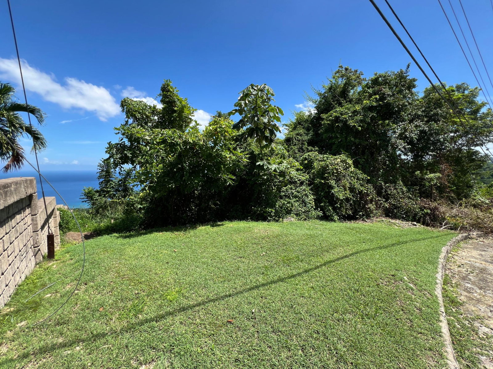 Eighth image of Lot 24 Clarridge Hall in Spring Garden, St. James, Jamaica - property is For Sale