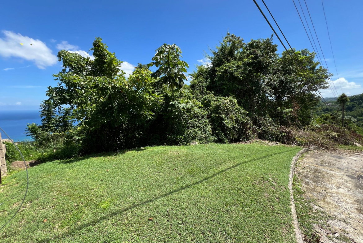 Twenty-Second image of Lot 24 Clarridge Hall in Spring Garden, St. James, Jamaica - property is For Sale