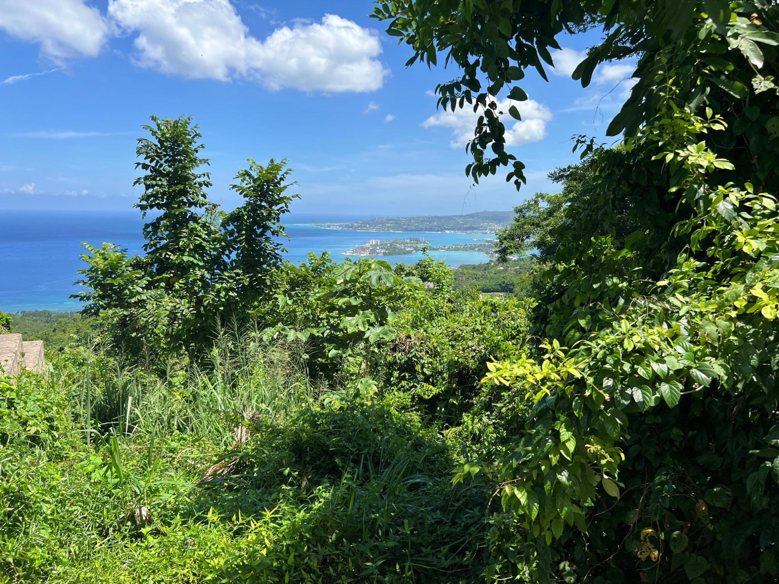 Twenty-Fifth image of Lot 24 Clarridge Hall in Spring Garden, St. James, Jamaica - property is For Sale