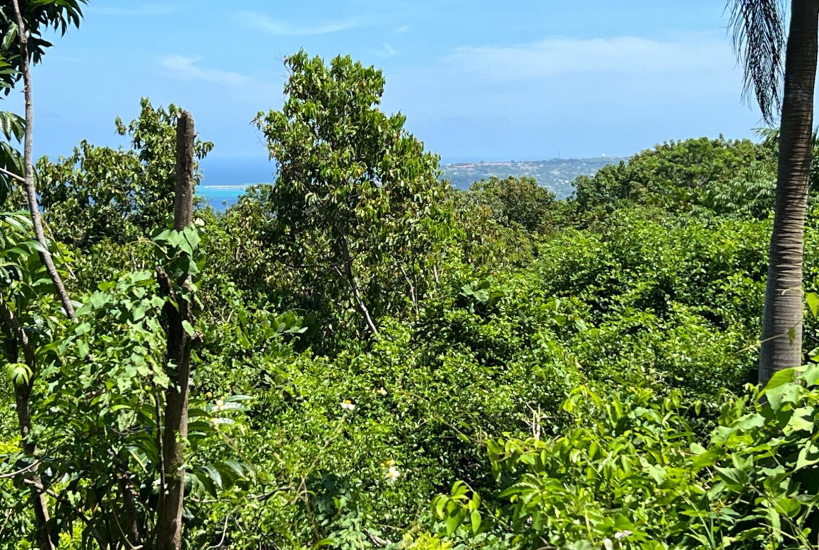 Twenty-Ninth image of Lot 24 Clarridge Hall in Spring Garden, St. James, Jamaica - property is For Sale