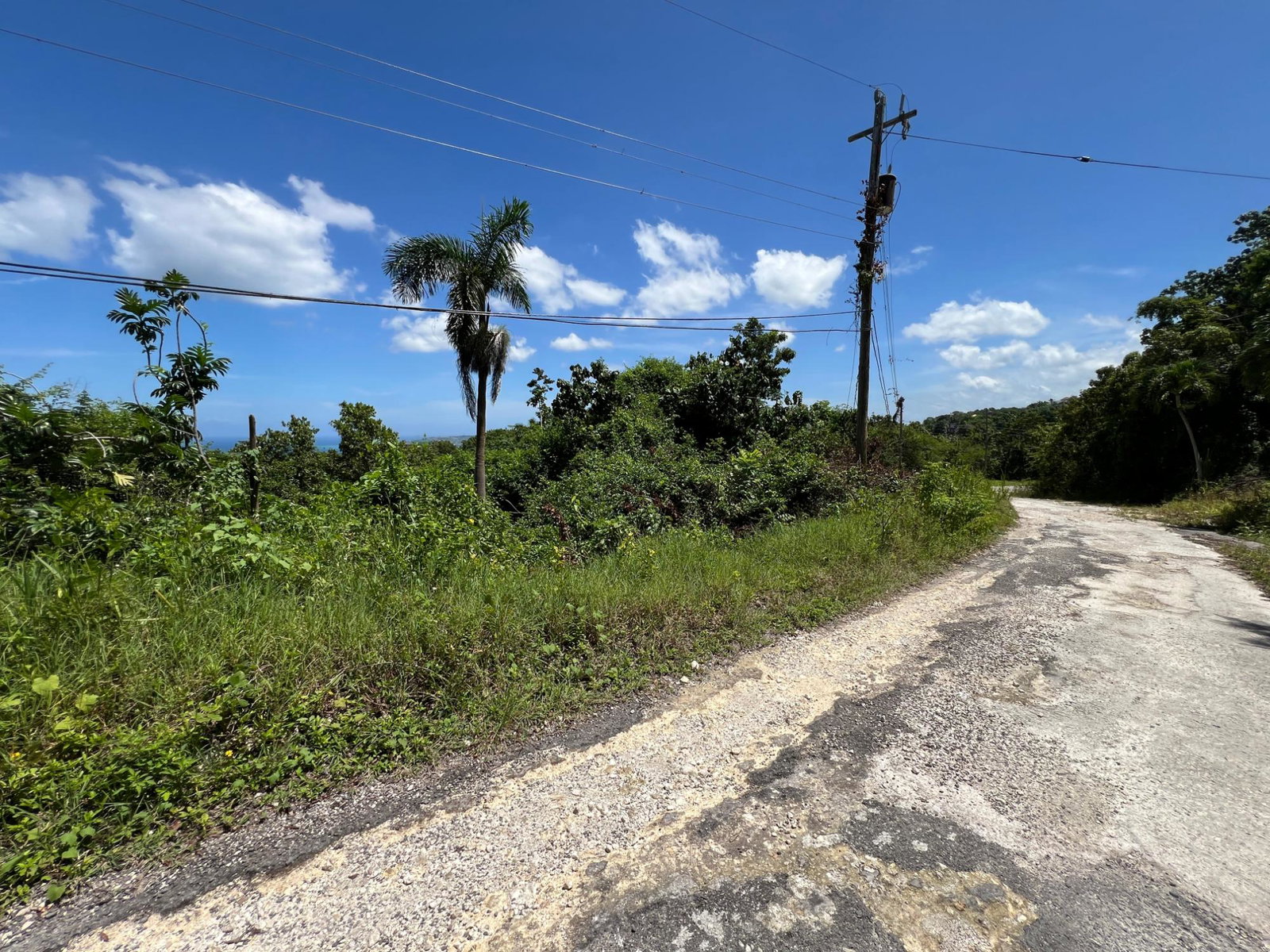 Thirtieth image of Lot 24 Clarridge Hall in Spring Garden, St. James, Jamaica - property is For Sale