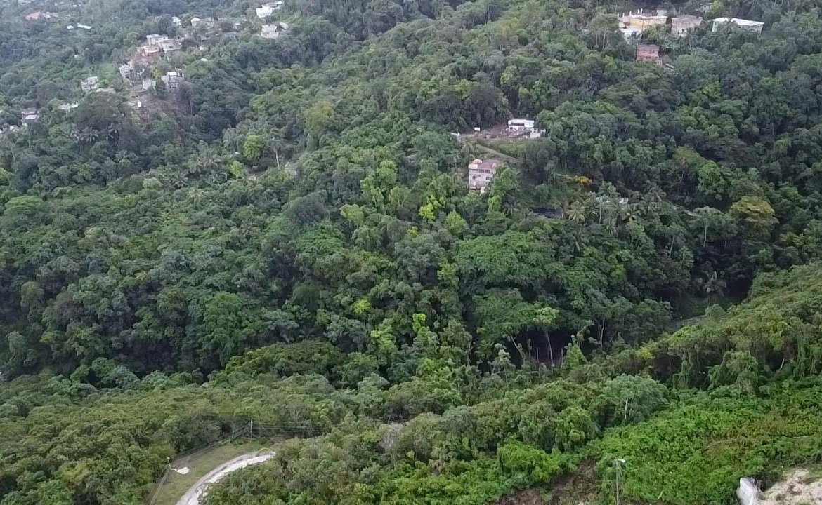 Fourteenth image of Lot 20 Clarridge Hall in Spring Garden, St. James, Jamaica - property is For Sale