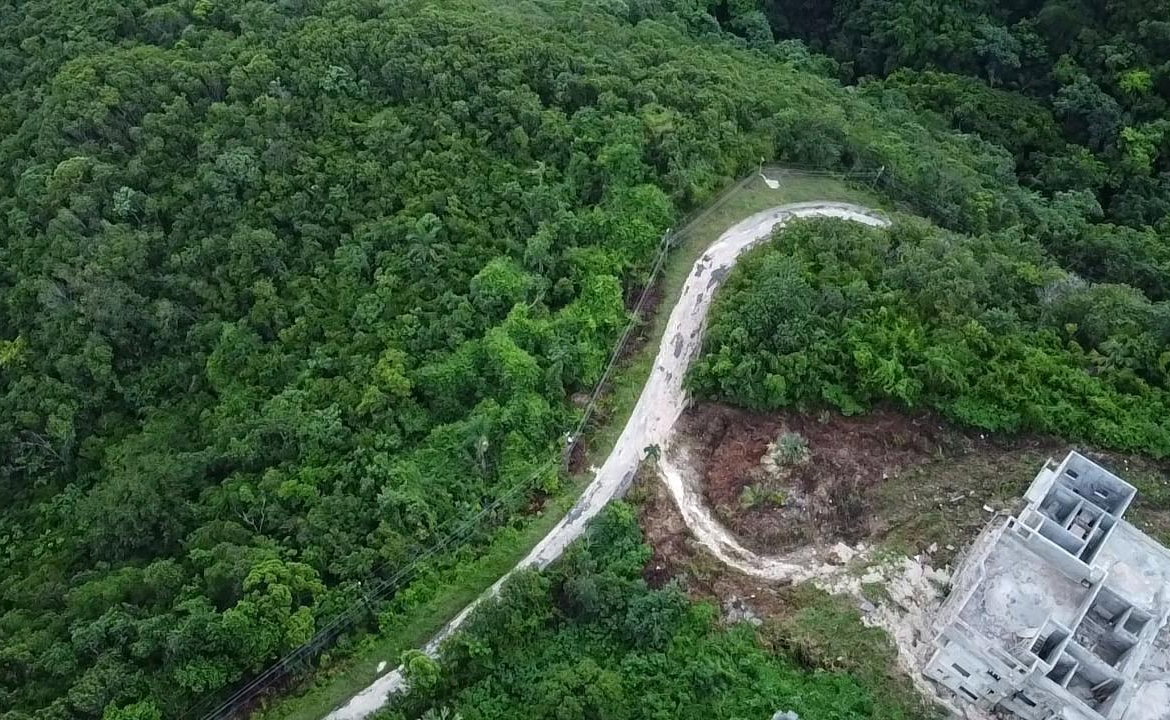 Fifteenth image of Lot 20 Clarridge Hall in Spring Garden, St. James, Jamaica - property is For Sale