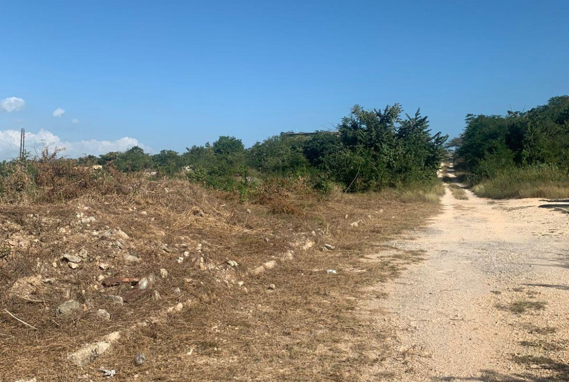 Seventh image of Lot-52 Harmony Estate, Edward bl in May Pen, Clarendon, Jamaica - property is For Sale