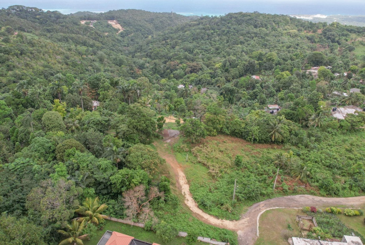 Fourth image of Lot 3 Liberty Hill, Lime Hall, in Lime Hall, St. Ann, Jamaica - property is For Sale