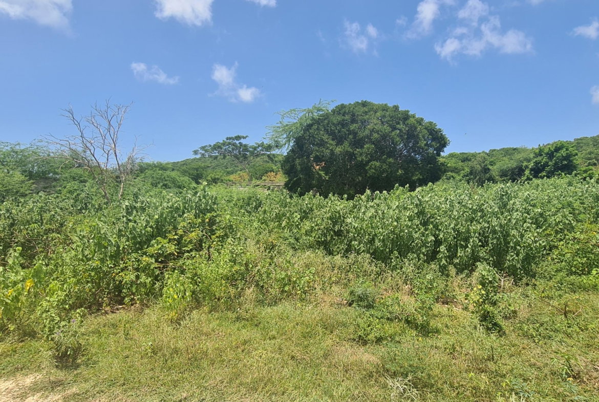 Fifteenth image of Rosehall Boulevard in Freetown, Clarendon, Jamaica - property is For Sale