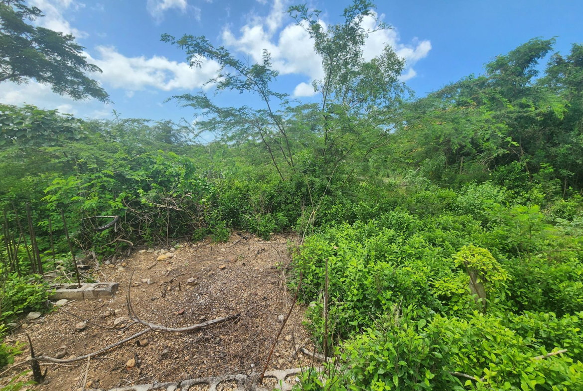 Seventh image of Rosehall Boulevard in Freetown, Clarendon, Jamaica - property is For Sale