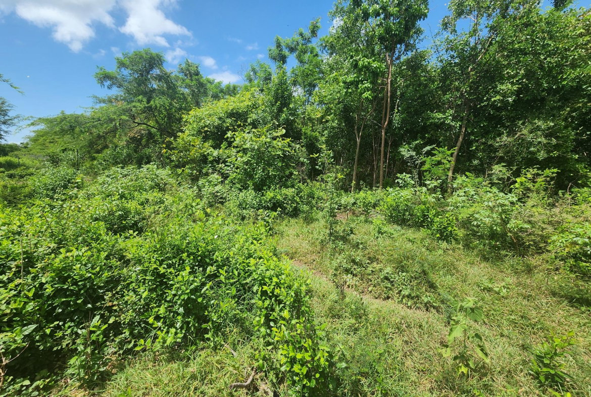 Eighth image of Rosehall Boulevard in Freetown, Clarendon, Jamaica - property is For Sale