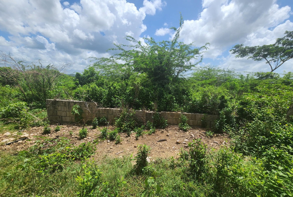 Ninth image of Rosehall Boulevard in Freetown, Clarendon, Jamaica - property is For Sale