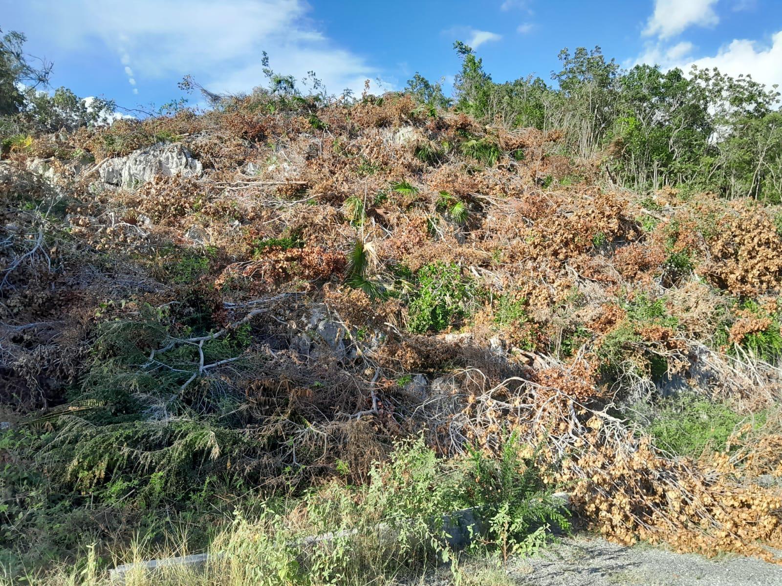 Second image of 62 st Jago Hills in Spanish Town, St. Catherine, Jamaica - property is For Sale