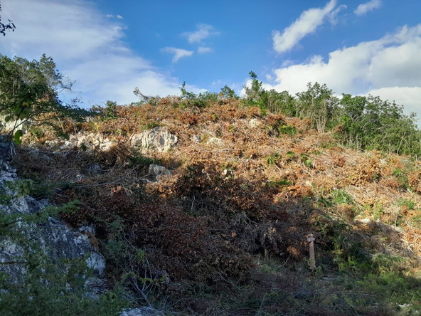 Fourth image of 62 st Jago Hills in Spanish Town, St. Catherine, Jamaica - property is For Sale