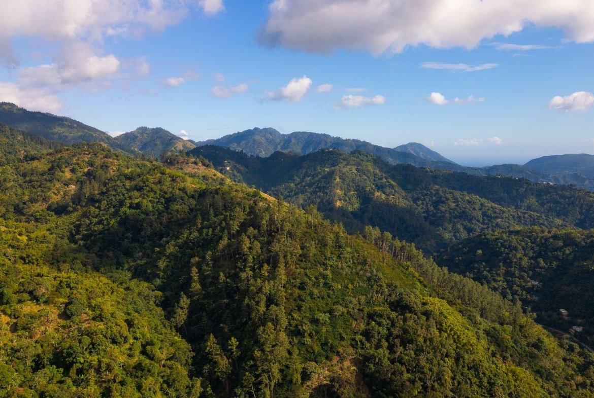 Eleventh image of Peters Rock in Kingston 8, St. Andrew, Jamaica - property is For Sale