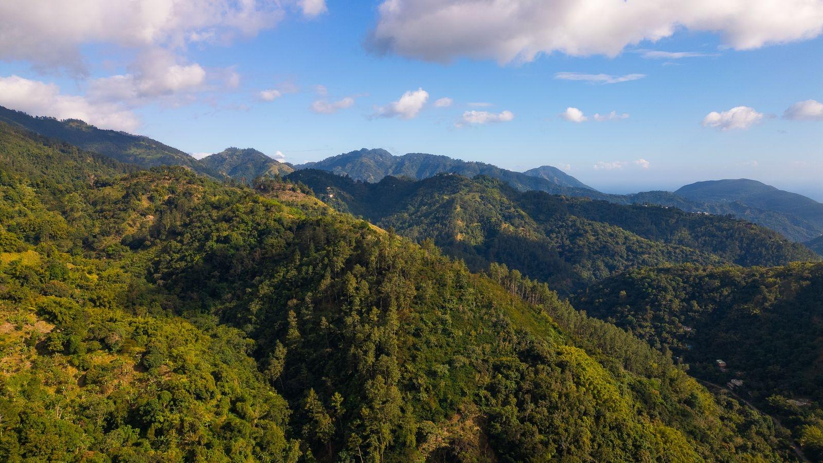 Build-Your-Dream-Home-on-34-Acre-Lot-in-Peters-Rock-Jamaica Eleventh image of Peters Rock in Kingston 8, St. Andrew, Jamaica - property is For Sale