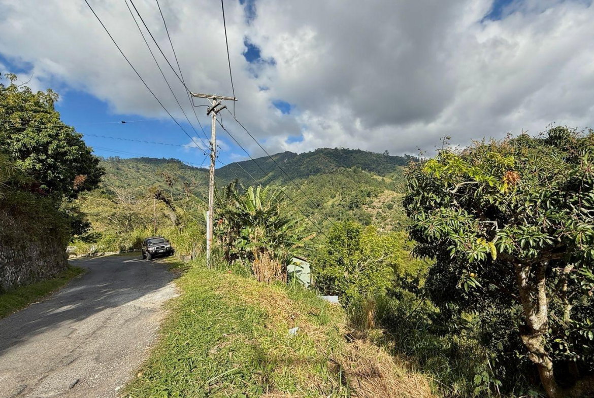 Thirteenth image of Peters Rock in Kingston 8, St. Andrew, Jamaica - property is For Sale