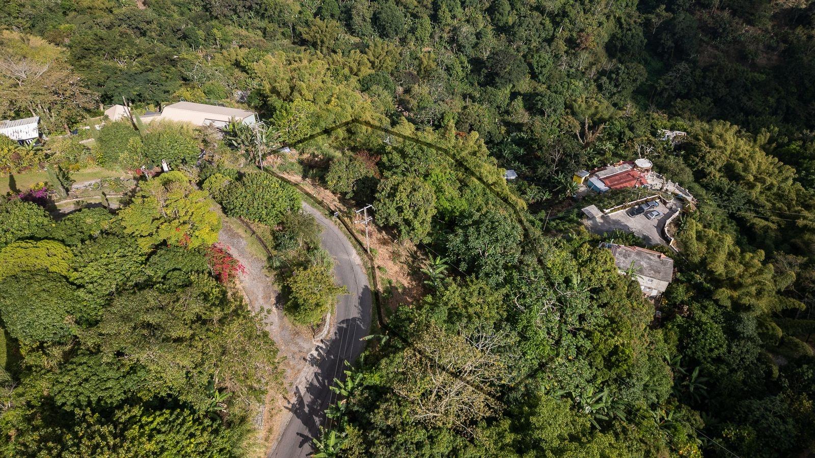 Build-Your-Dream-Home-on-34-Acre-Lot-in-Peters-Rock-Jamaica Fourteenth image of Peters Rock in Kingston 8, St. Andrew, Jamaica - property is For Sale