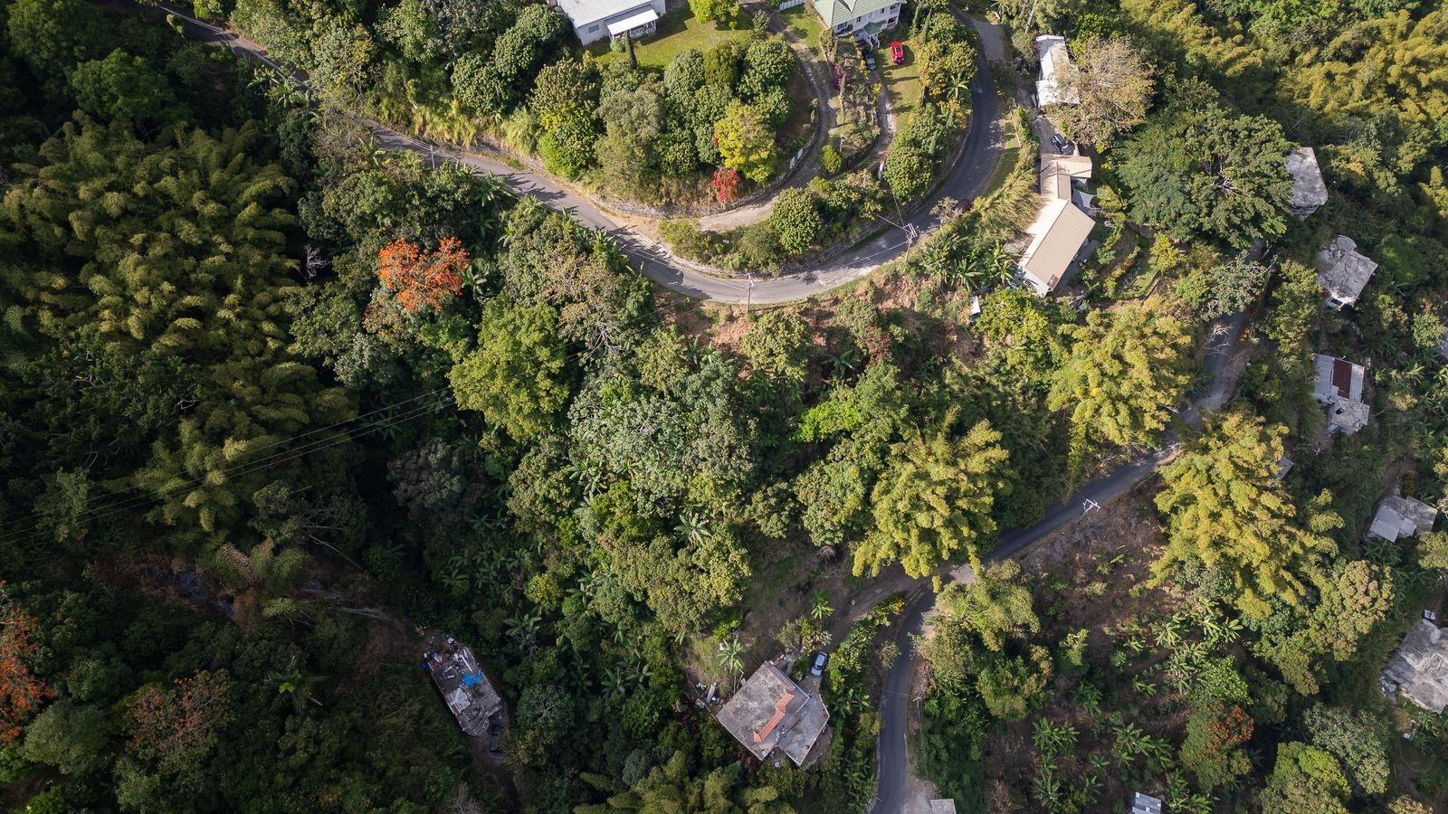 Build-Your-Dream-Home-on-34-Acre-Lot-in-Peters-Rock-Jamaica Third image of Peters Rock in Kingston 8, St. Andrew, Jamaica - property is For Sale