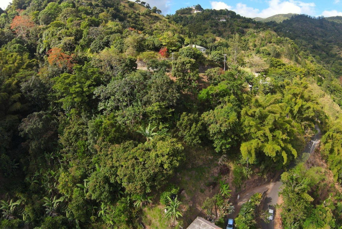 Sixth image of Peters Rock in Kingston 8, St. Andrew, Jamaica - property is For Sale