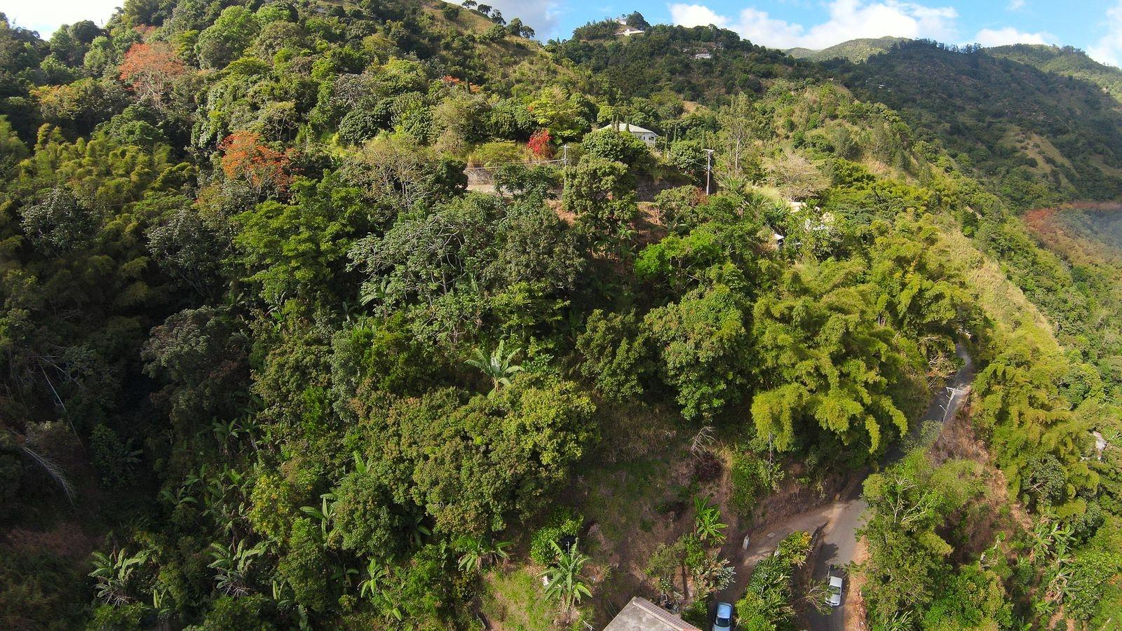 Build-Your-Dream-Home-on-34-Acre-Lot-in-Peters-Rock-Jamaica Sixth image of Peters Rock in Kingston 8, St. Andrew, Jamaica - property is For Sale