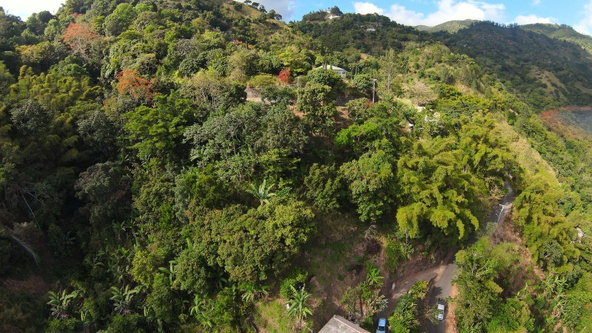 Sixth image of Peters Rock in Kingston 8, St. Andrew, Jamaica - property is For Sale