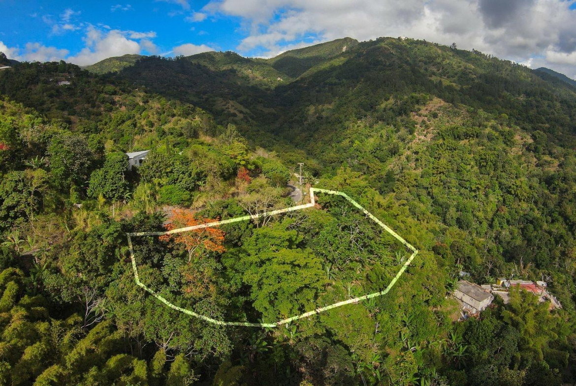 Seventh image of Peters Rock in Kingston 8, St. Andrew, Jamaica - property is For Sale