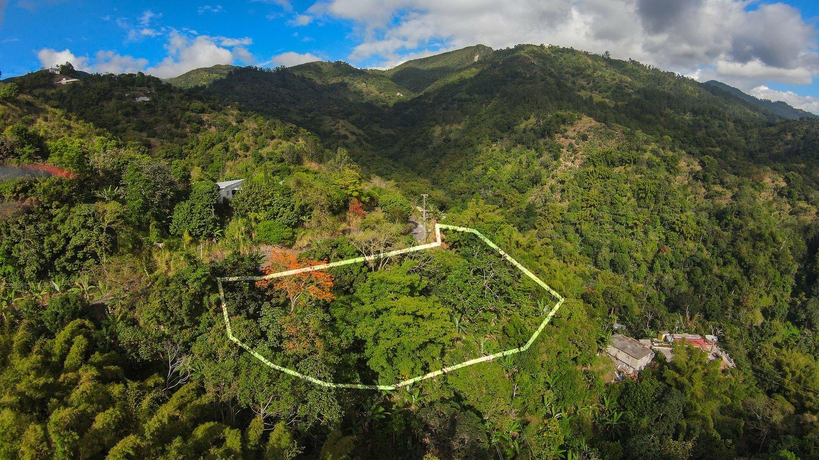 Build-Your-Dream-Home-on-34-Acre-Lot-in-Peters-Rock-Jamaica Seventh image of Peters Rock in Kingston 8, St. Andrew, Jamaica - property is For Sale