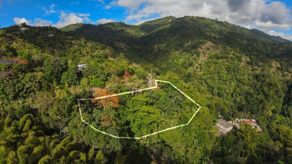 Seventh image of Peters Rock in Kingston 8, St. Andrew, Jamaica - property is For Sale
