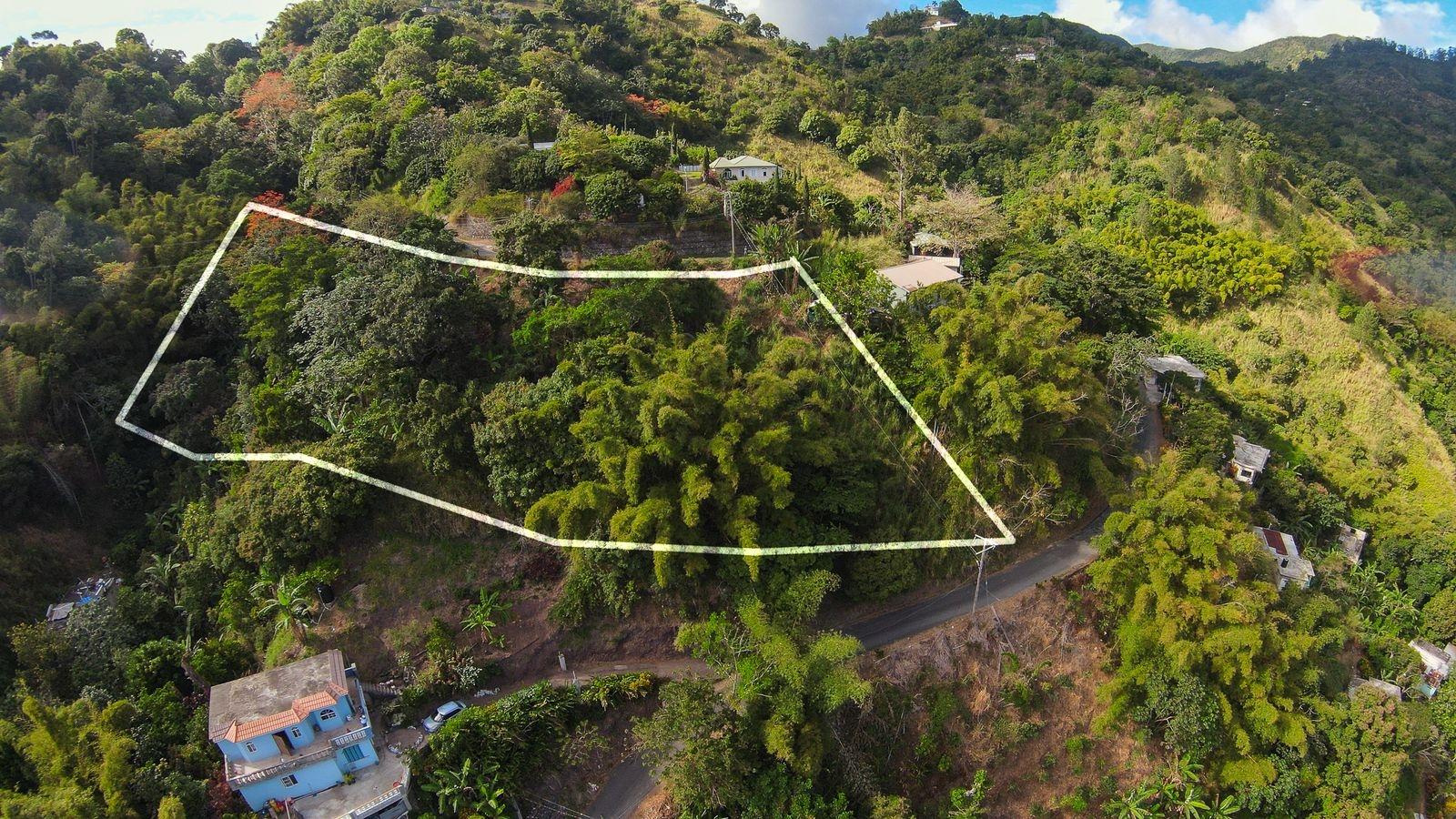 Build-Your-Dream-Home-on-34-Acre-Lot-in-Peters-Rock-Jamaica Ninth image of Peters Rock in Kingston 8, St. Andrew, Jamaica - property is For Sale