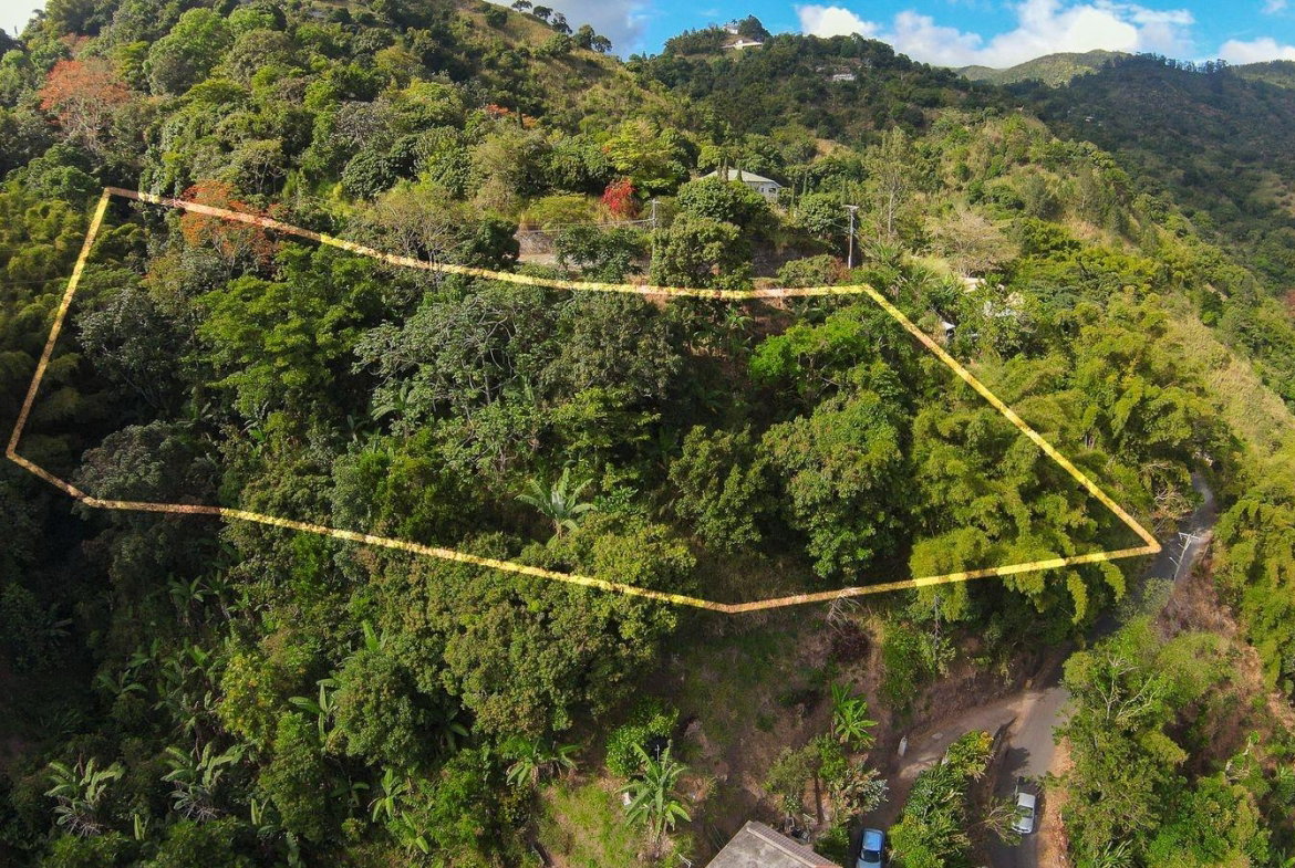 Tenth image of Peters Rock in Kingston 8, St. Andrew, Jamaica - property is For Sale