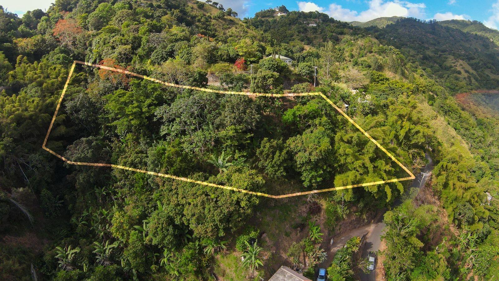 Build-Your-Dream-Home-on-34-Acre-Lot-in-Peters-Rock-Jamaica Tenth image of Peters Rock in Kingston 8, St. Andrew, Jamaica - property is For Sale
