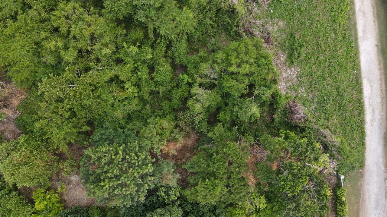 Second image of 723 Calabash Drive in Runaway Bay, St. Ann, Jamaica - property is For Sale