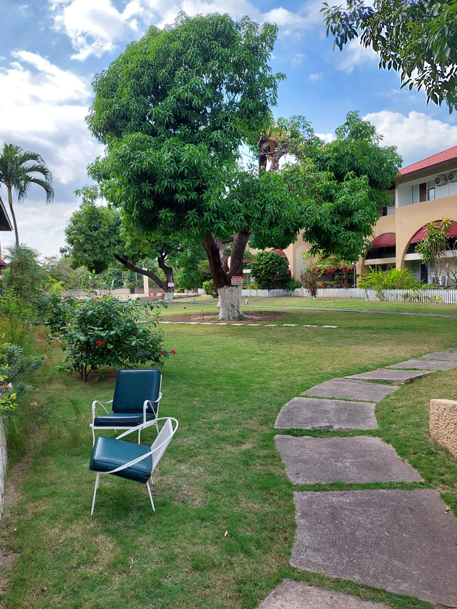 Fifth image of 25-60 Hope Road in Kingston 6, St. Andrew, Jamaica - property is For Sale