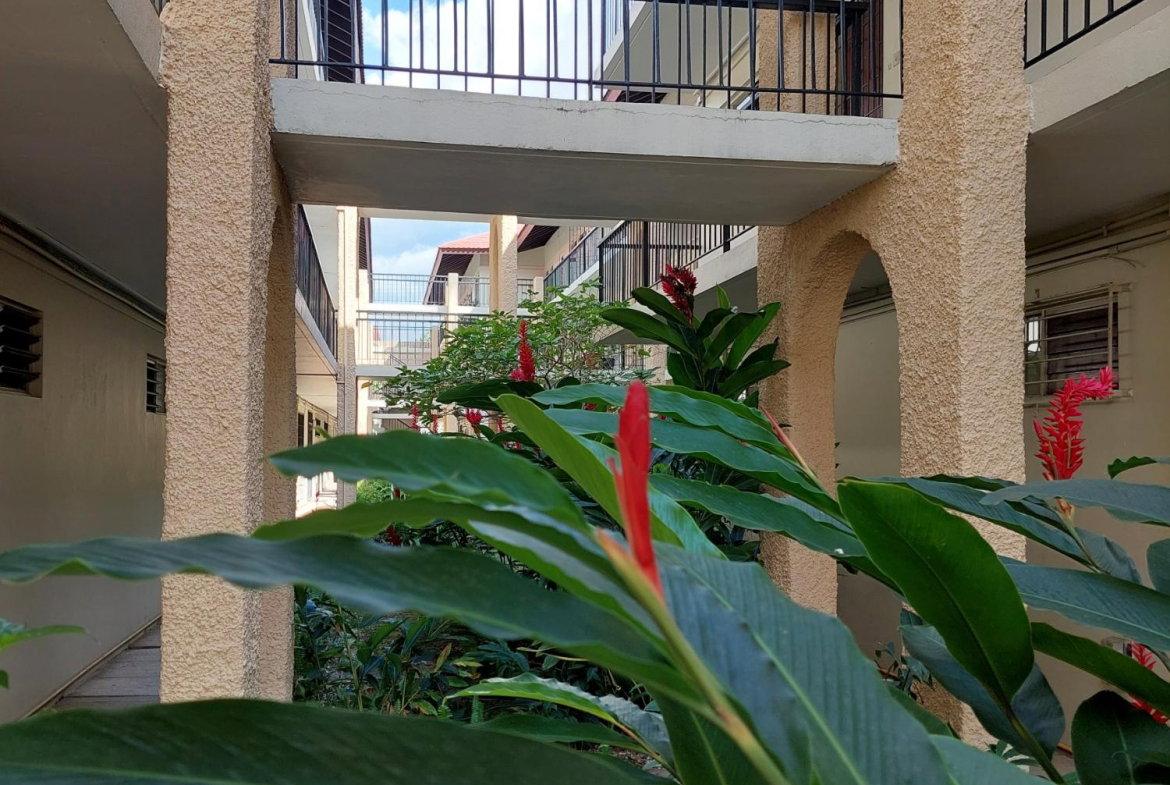 Eighth image of 25-60 Hope Road in Kingston 6, St. Andrew, Jamaica - property is For Sale