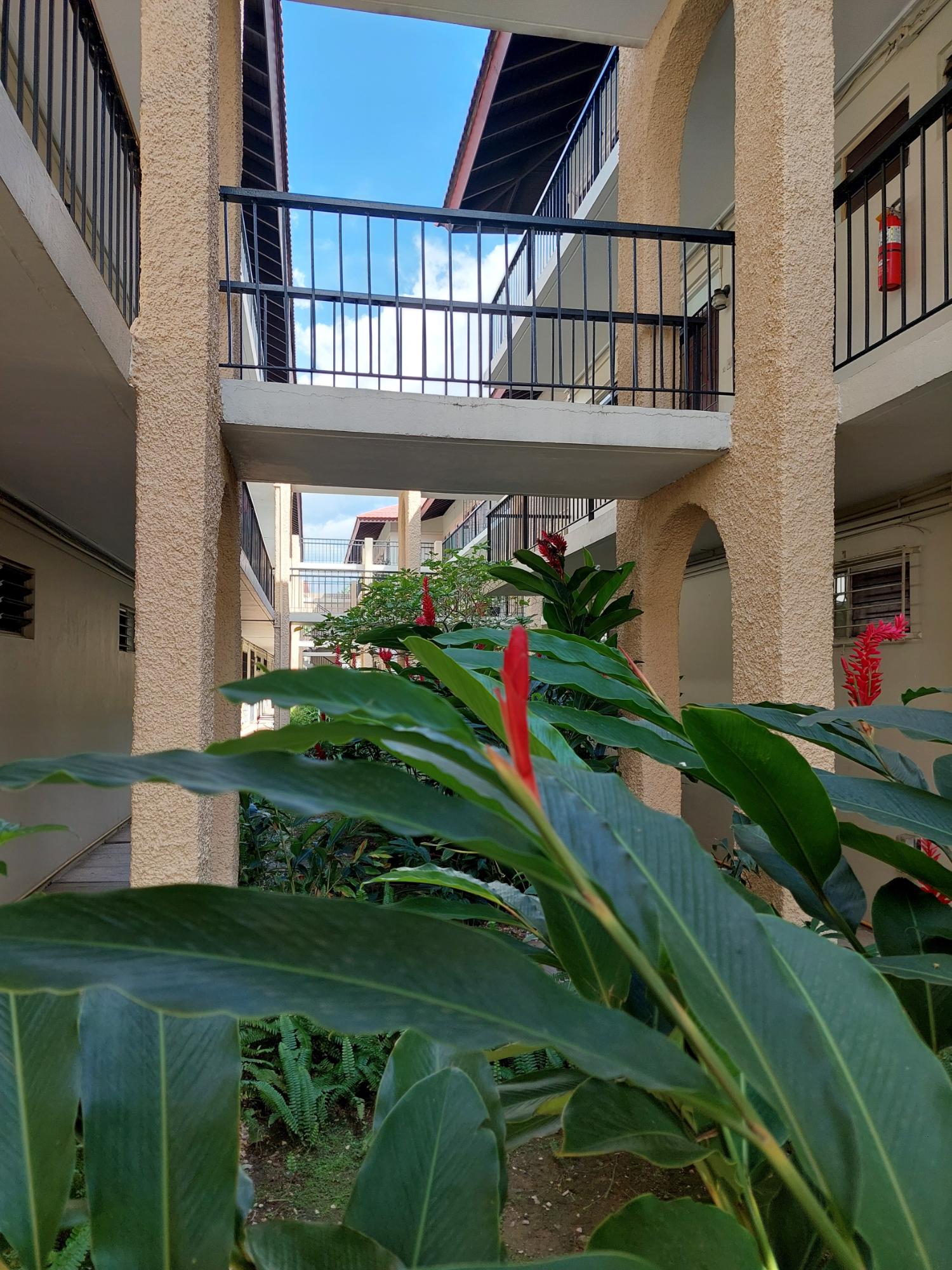 Eighth image of 25-60 Hope Road in Kingston 6, St. Andrew, Jamaica - property is For Sale
