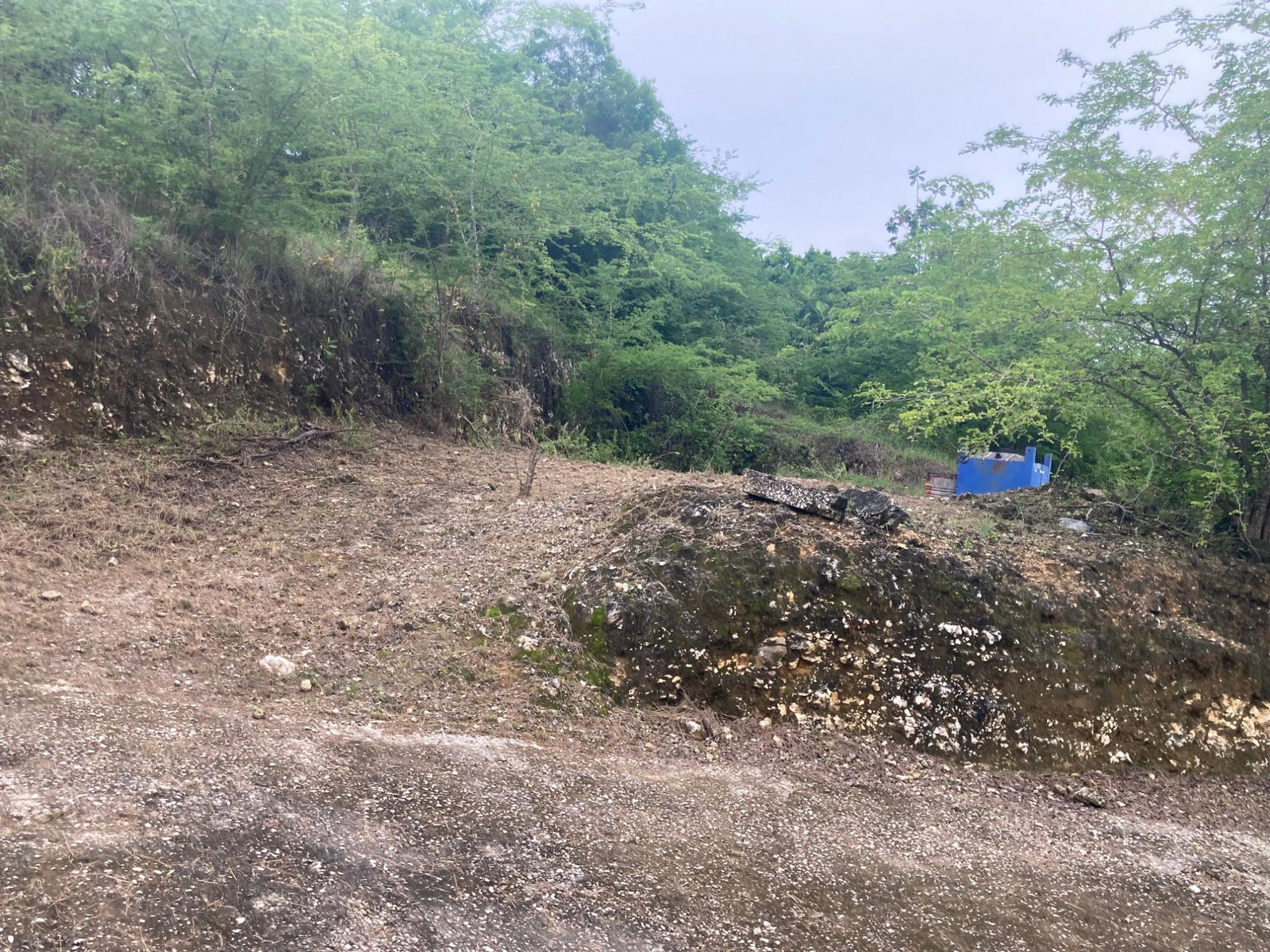 Eighth image of 23 Myrtle Chambers Ave in Irwin, St. James, Jamaica - property is For Sale