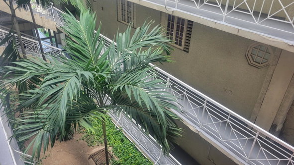 Fourth image of 306-114 Constant Spring Road in Kingston 8, St. Andrew, Jamaica - property is For Sale